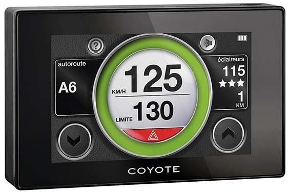 Coyote