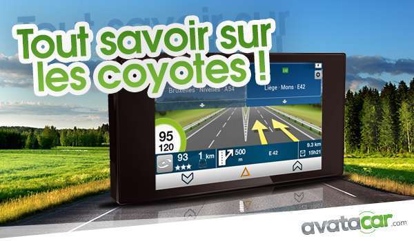 tout_savoir_coyote_blog