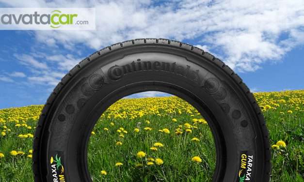 Continental va fabriquer des pneus à partir de pissenlit
