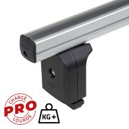 Barres de toit Professional Alu L x 2